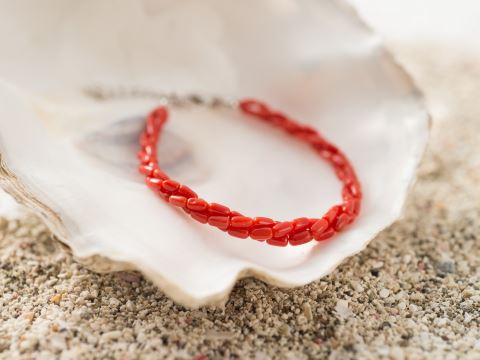 東海岸古木玉石